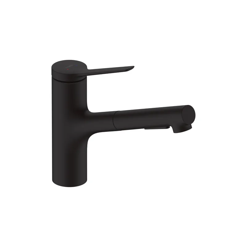 Hansgrohe 74810671 Zesis Kitchen Faucet 2-Spray Pull-Out 1.5 GPM Replacement MPN