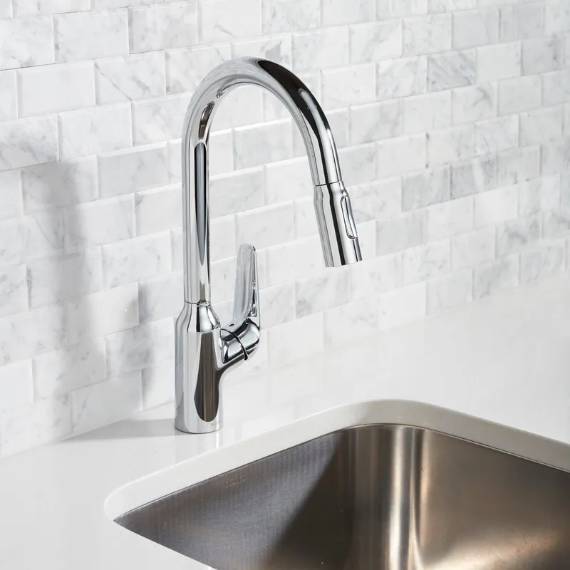 Hansgrohe 71800001 Focus N HighArc Kitchen Faucet, 2-Spray Pull-Down, 1.75 GPM