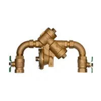 Wilkins 2-975XL2SEU Gate Valve