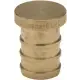 Zurn QQP3GX XL Brass Test Plug - 1/2 Barb