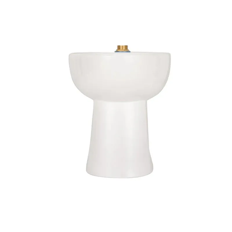 Zurn Z5665-BWL1 EcoVantage 1.1 gpf Elongated Floor Mount Toilet Bowl