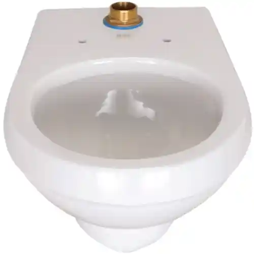 Zurn Z5615-BWL Zurn Industries Z5615-BWL Toilet Bowl Wall Hung 1.28 HET 5-1/4 Inch