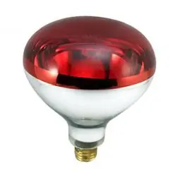 True Value TV260675 1PK 250W R40 Red Lamp