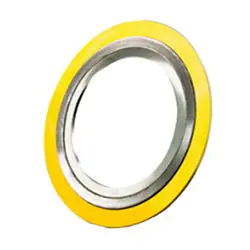 Macomb Group 040060202085 4 600 Gasket CGI 316ss Inner Ring Flexicarb Filler