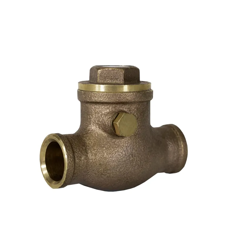 Jomar 105-206 1-1/4 S501 C X C Check Valve