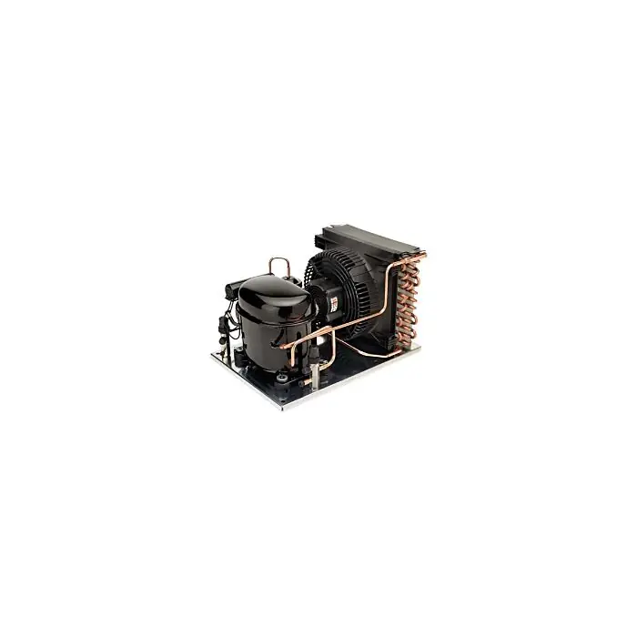 Tecumseh 32V389-59 Indoor Condensing Unit R404A 1/2