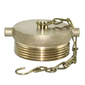 Fire Protection 07-462-00 Brass Plug W/Chain 2-1/2 IN