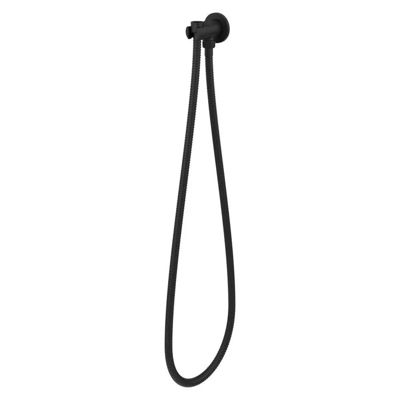 Pfister HSK-01SHWB H/Shwr Hldr W/ Hose