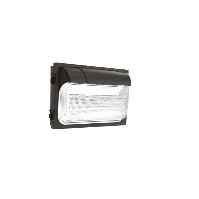 Acuity Brands TWX2 LED ALO 50K MVOLT PE DDBTXD LED Glass Wall Pack 54 Watts