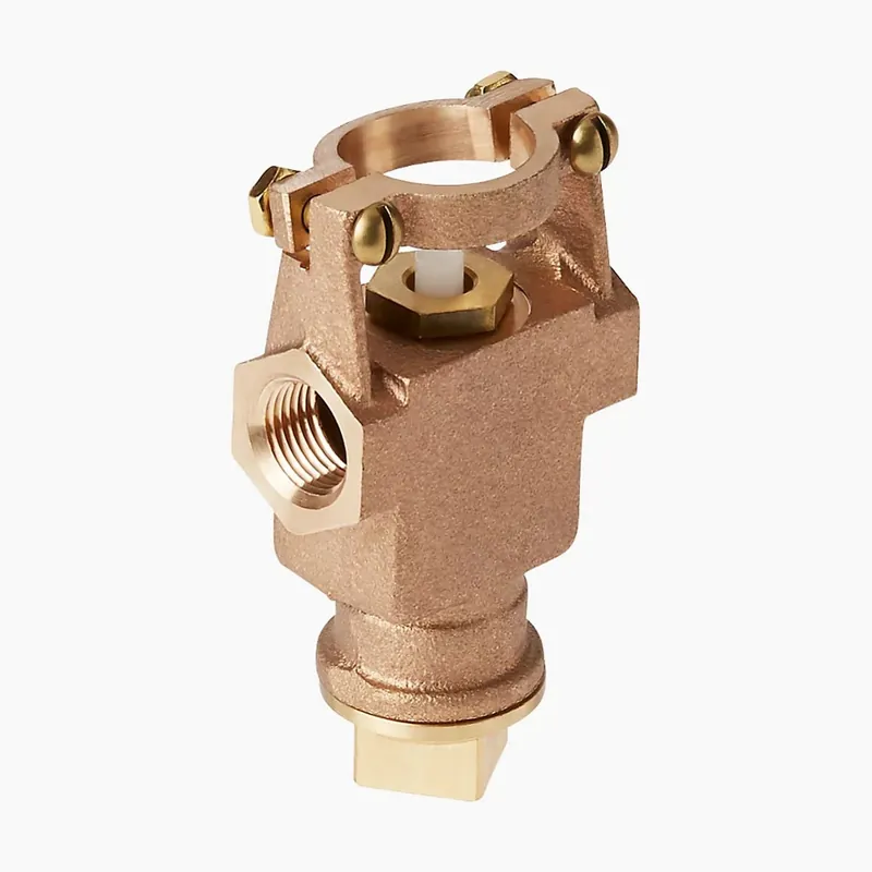 Kohler 76567 Self Closing Valve Assembly
