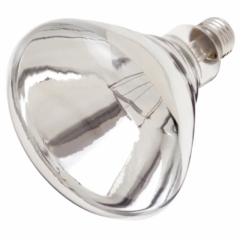 Satco-Nuvo S4885 Incandescent Shatter Proof Lamp 250 W