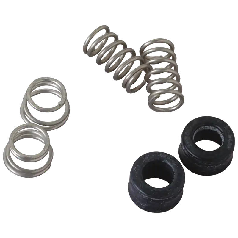 Delta RP77737 Seats & Springs Kit