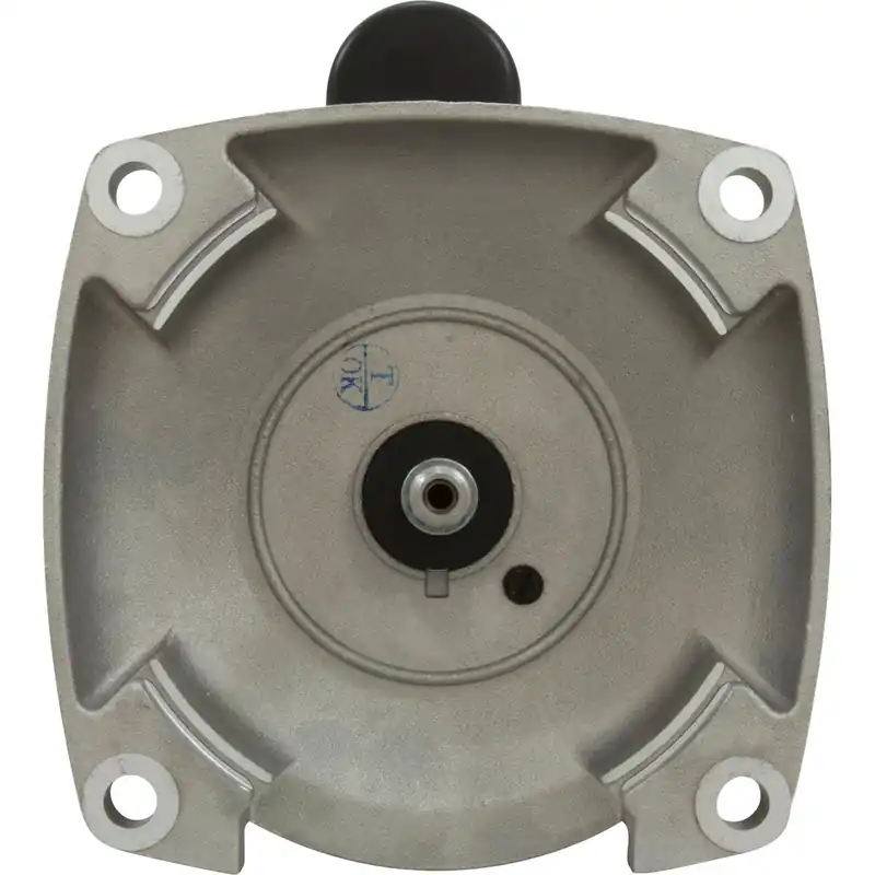 Regal Beloit B2844 AO Smith Pool and Spa Pump Motor 3 HP B2844