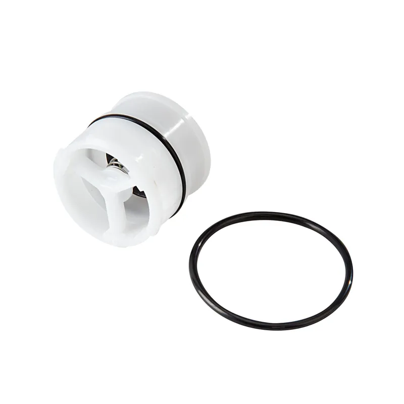 Watts 888550 3/4 inches 007M3 1st Check Assembly