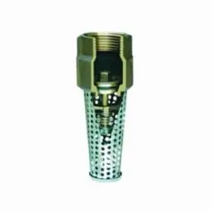Simmons Manufacturing 453SB Foot Valve 1 in