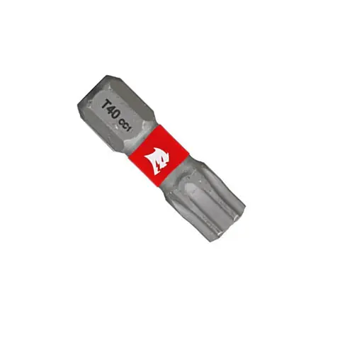 Diablo DT401P2 1 in. #40 Torx Drive Bits (2-Pack)