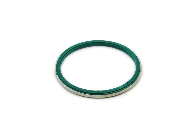 Bridgeport Fittings SR-200 2 Inch Polyethylene Liquidtight Sealing Ring With Steel Retainer