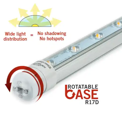 Keystone KT-LED31T8-72P2S-865-D /G2 6 ft. LED Sign Tube 31W