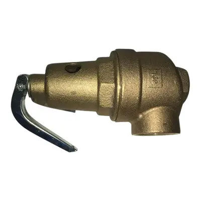 Peerless Boiler 51301 1 inch Safety Relief Valve, 30 PSI, 1570 MBH