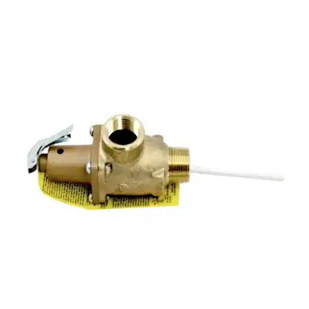 Watts F556006 1 IN LF40XL-4 Lead Free Automatic Reseating Temperature and Pressure Relief Valve, 100 psi, 210 F, 4 IN Coated Thermostat