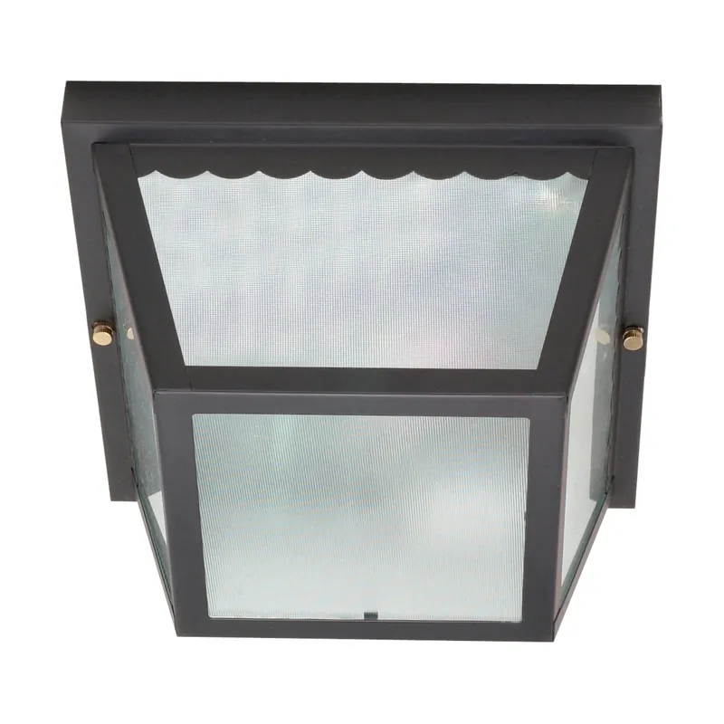 Satco 60-473 Nuvo 2-Light 6-in Flush Mount Outdoor Carport Lighting Fixture 60 W