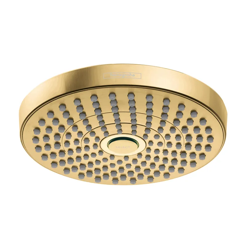 Hansgrohe 4388250 Ccy 1.8 2f Shwrdhd *Croma Select Bg