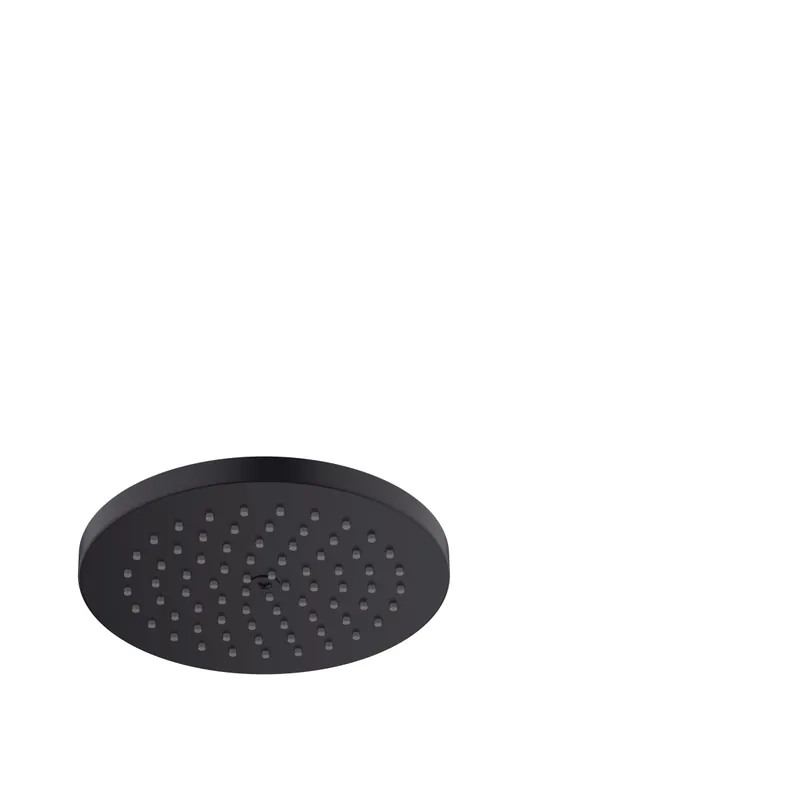 Hansgrohe 26928671 Raindance S Showerhead 180 1-Jet PowderRain, 2.5 GPM