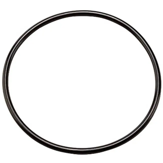 Pentair 152032 W10-OR Buna-N O-ring for 1 inches & 1-1/2 inches Opaque Heavy-Duty Housings