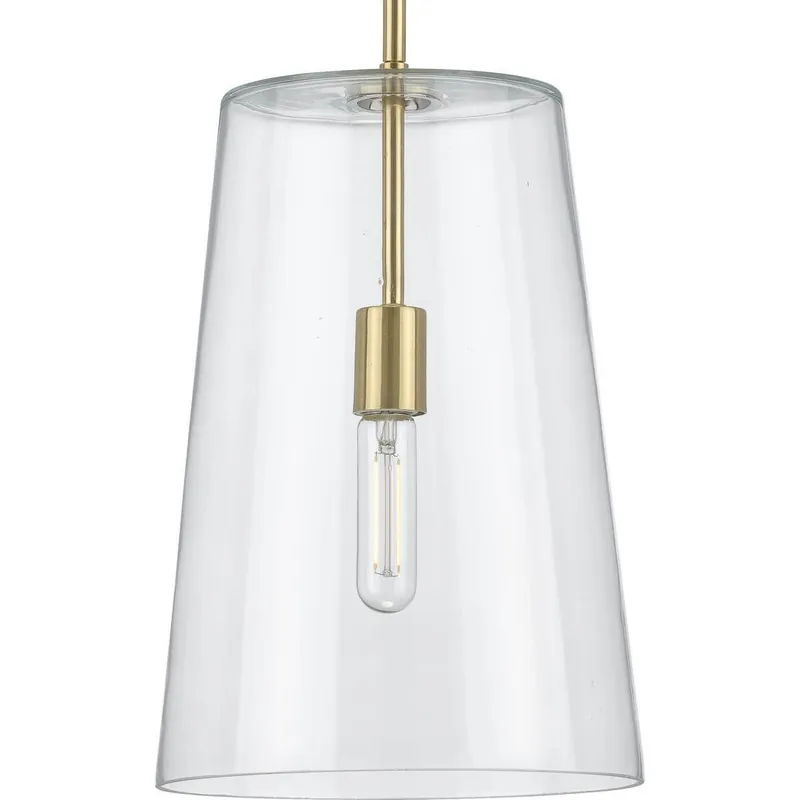 Progress Lighting P500242-012 Clarion Collection One-Light Medium Pendant 60W