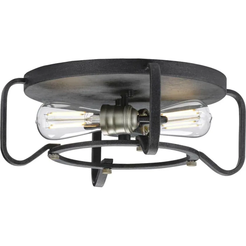 Progress Lighting P350116-071 Foster Collection 16 inches Two-Light Flush Mount
