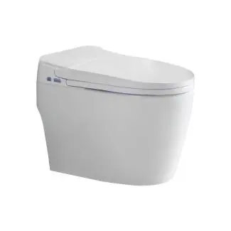 ACIQ ACIQ-ST-WH Smart Toilet One-Piece with Bidet Auto Flush Heated Seat