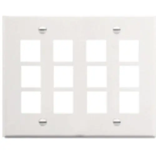 Io Hvac Controls BAL-PP12 12 Port Faceplate 2 Gang, White (includes Ports) BAL-PP12