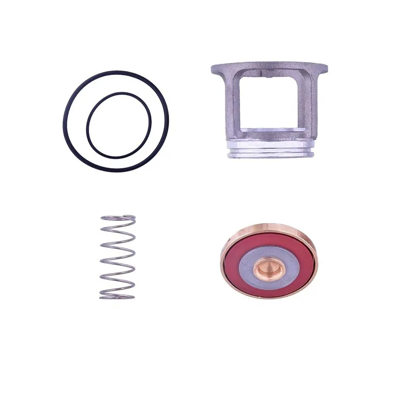 Watts 0887122 3/4 - 1 in. Check Kit