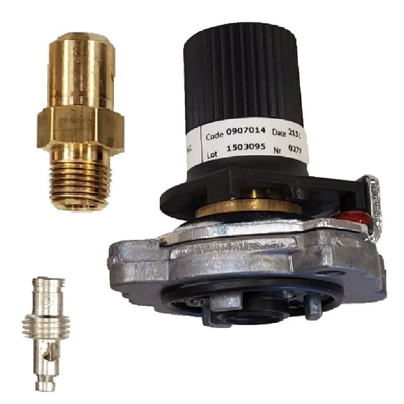 Napoleon Hearth W175-0738 Conversion Kit