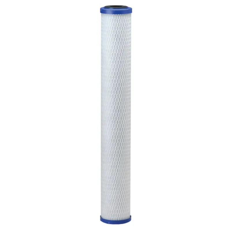 Costguard EV9108-25 CG5-20 Filter Cartridge