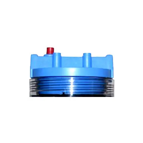 Pentair 151039 Pressure Relief Button Assembly