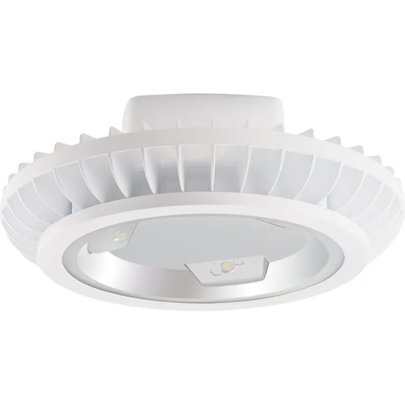 Rab Lighting Inc BAYLED104W High Bays 14942 Lumens Bayled 104W