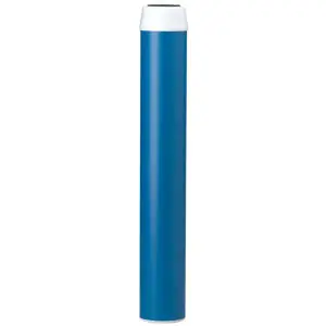 Costguard EV9108-32 CGT-20 Costguard Filter Cartridge