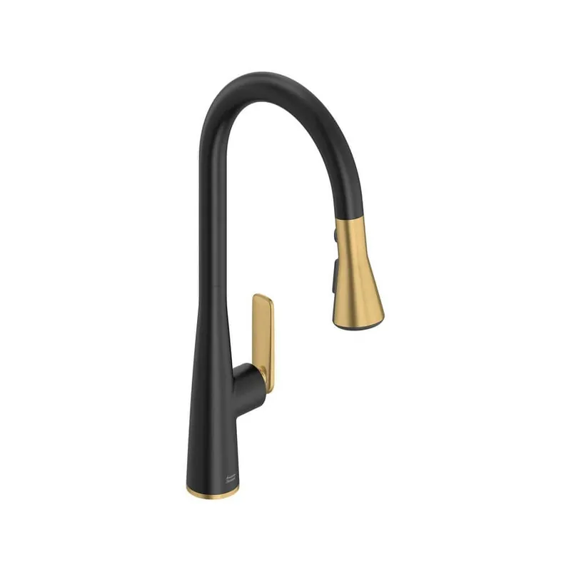 American Standard 1048814240 Aspirations 18 in Single Handle Pull Down Sprayer Kitchen Faucet with 360° Swivel