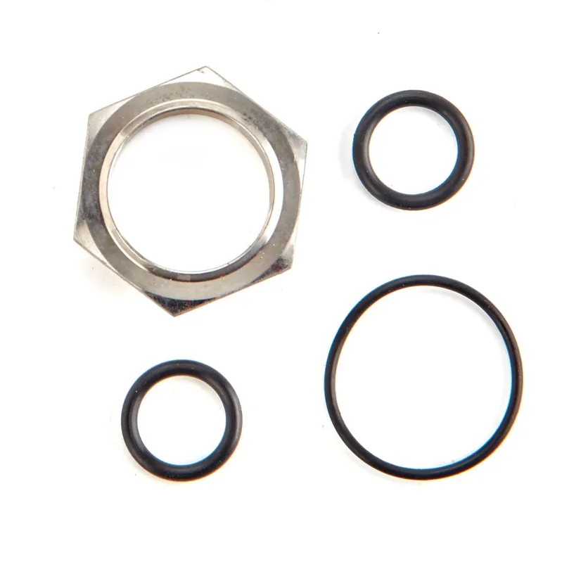 Watts 0887372 Series RK-900 3/4 - 1 in. Seat Valve Repair Kit