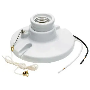 Legrand Pass & Seymour 29816-C2 Porcelain Pullchn Lmphldr 2 Term W/Leads