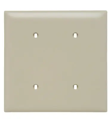 Legrand Pass & Seymour TP24-I Trademaster Plt 2g Blank Strap Mt I