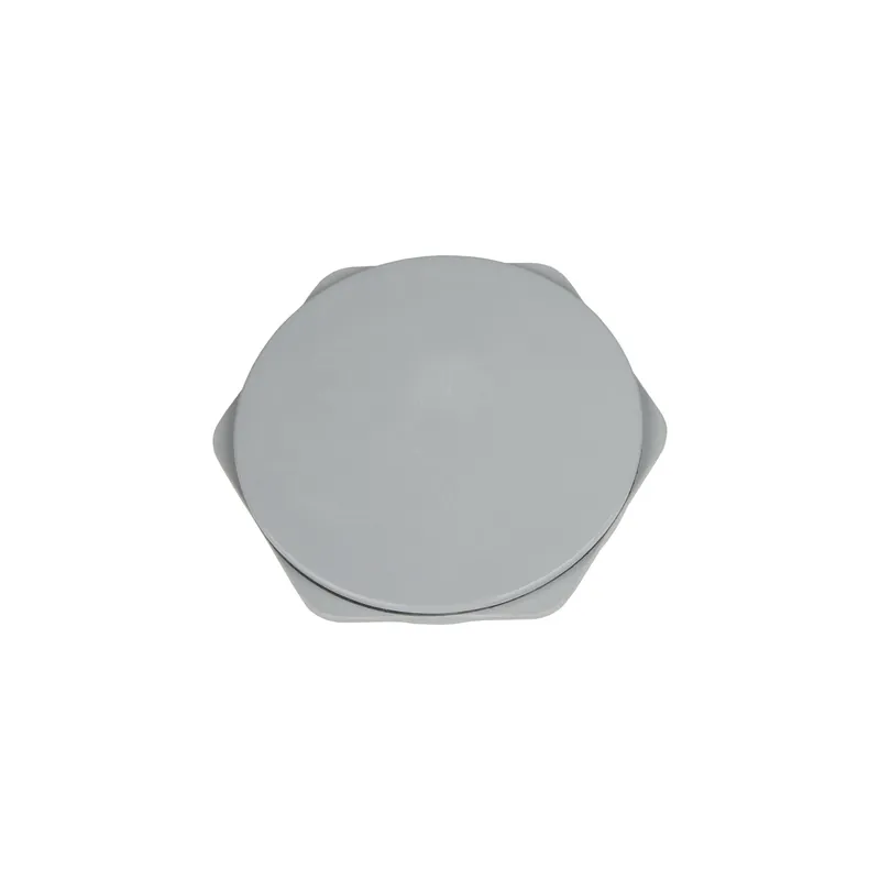 Stahlin REHPSERIES6 Fbgls Hle Plg Assy (3 Inch)