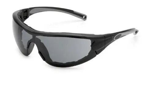 Gateway 21GB78 Swap Safety Glasses