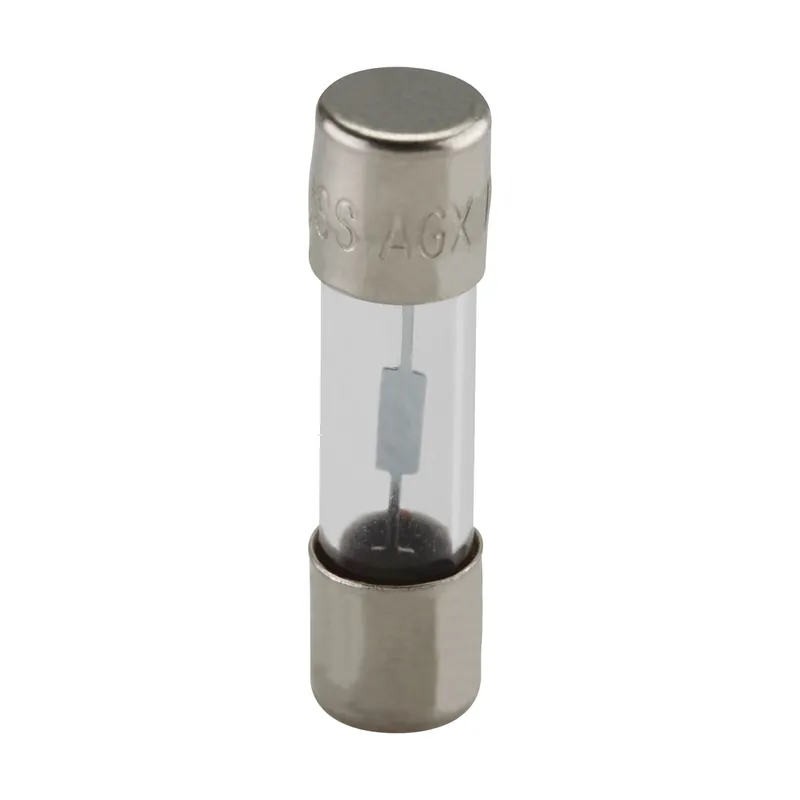 Bussmann AGX-10 AGX Glass Fuse 10A (1/4 inches x 1 inches)