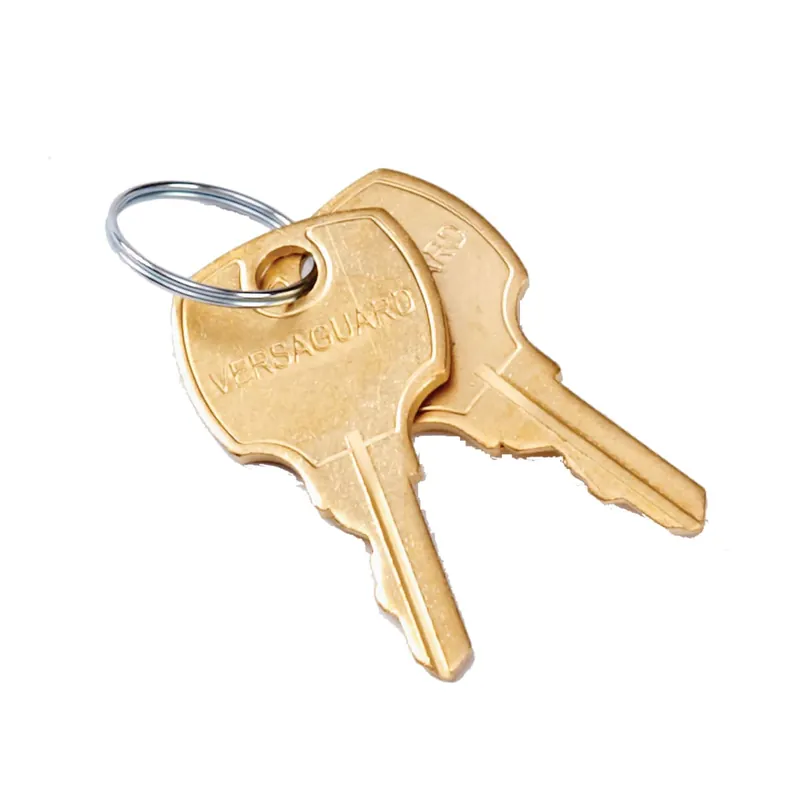 Resideo 191990A/U Replacement Keys (Set of 2) for TG509, TG510, TG511 and TG512