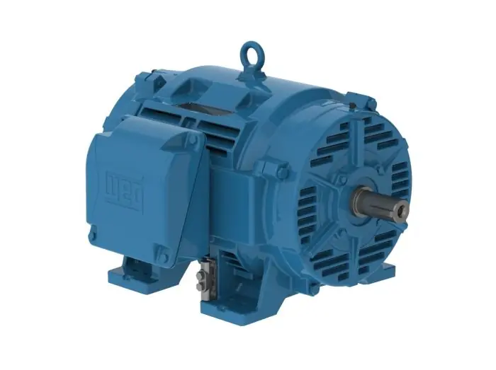 Weg 10018OT3E404T-W40 3-Phase General Purpose Motor 100 HP 404T Frame